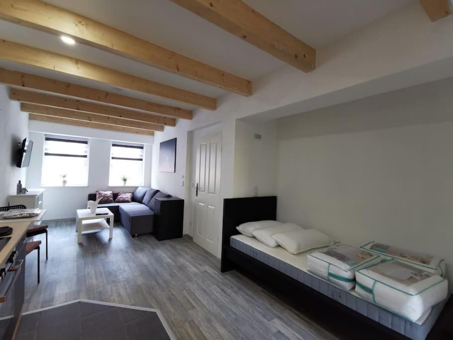 Altstadt-Apartment & Fewo Og Fuer Max 3 Pers Хальденслебен Экстерьер фото