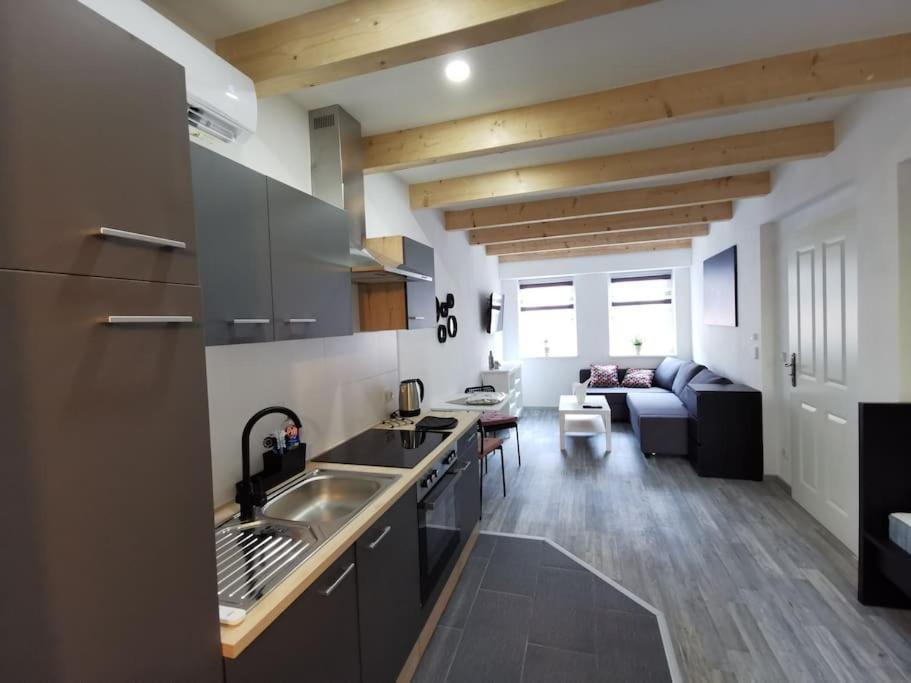 Altstadt-Apartment & Fewo Og Fuer Max 3 Pers Хальденслебен Экстерьер фото
